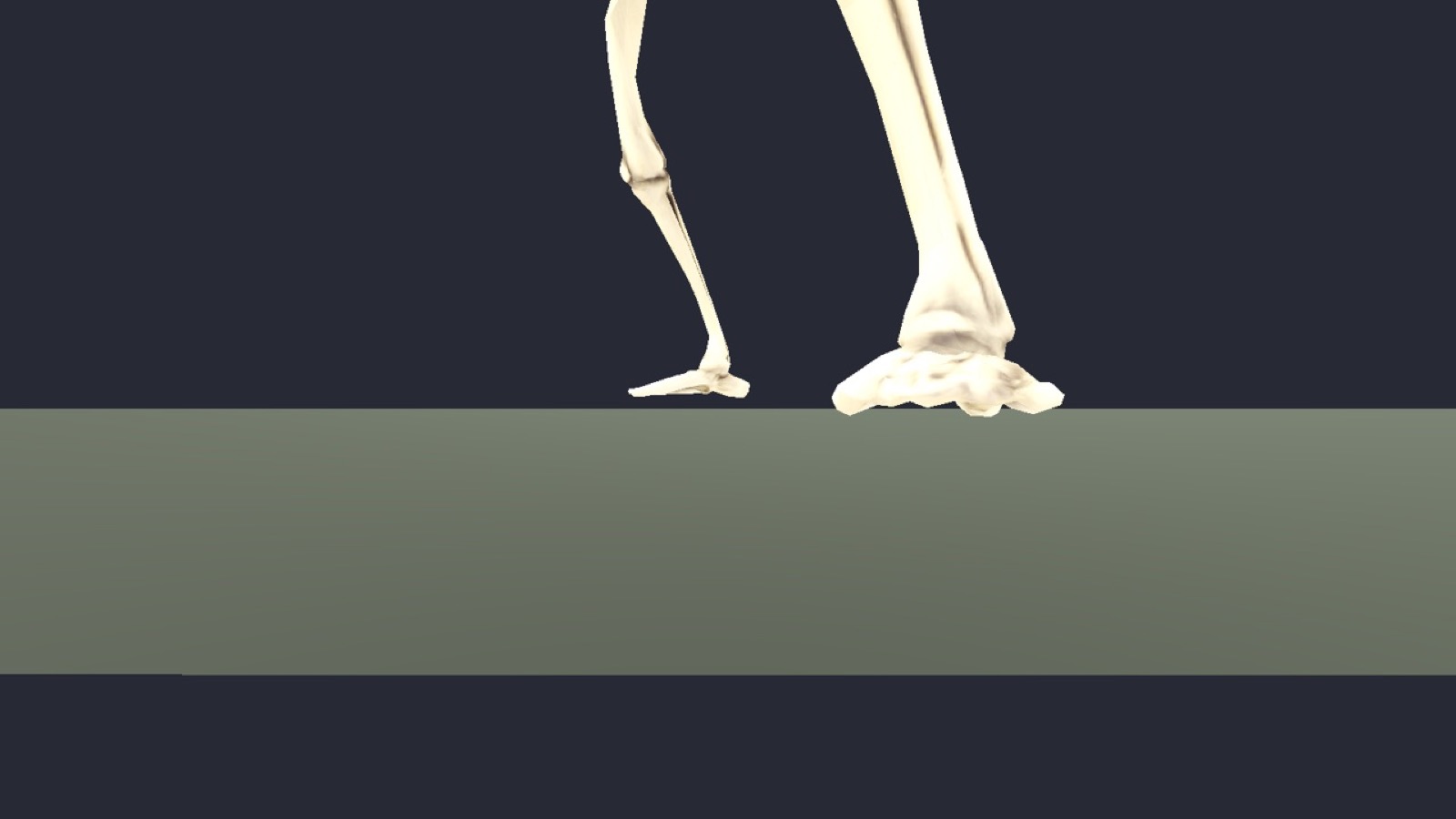 creature_bestiary_Crypt_Crawler.jpg